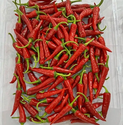Step 1: Select Your Chilies