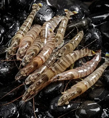 How to choose shrimp